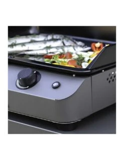 PLANCHA GAZ FUSION 75 GRIS CARGO - ENO -Barbecue Grillades Magasin plancha gaz fusion 75 gris cargo eno 5