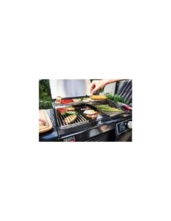 PLANCHA POUR BBQ SMART E - CHARBROIL 13 PLANCHA POUR BBQ SMART E - CHARBROIL -Barbecue Grillades Magasin plancha pour bbq smart e charbroil 5